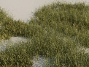 grass pack a Modello 3D