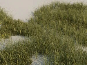 pak trawy a Model 3D