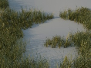 grass pack a Modello 3D