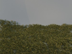 grass pack a Modello 3D