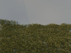 pak trawy a Model 3D