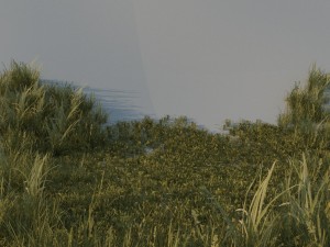 grass pack a Modello 3D