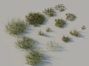 pak trawy a Model 3D