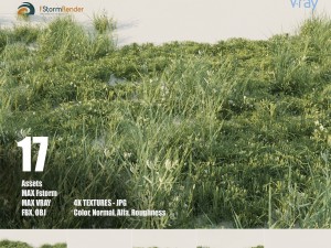 grass pack b 3D Model