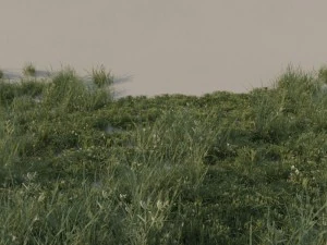 grass pack b 3D Model