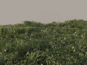 grass pack b 3D-Modell