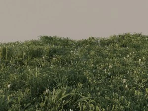 grass pack b 3D Model