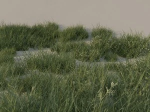 grass pack b 3D Model
