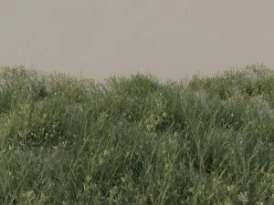 grass pack b 3D Model