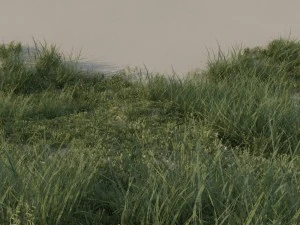 grass pack b 3D Model