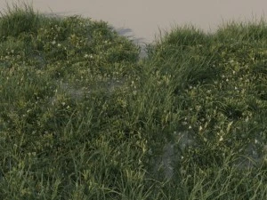grass pack b 3D Model