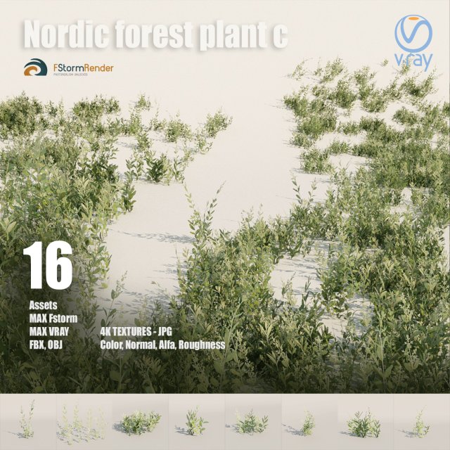 nordic forest plant c 3D 모델 .c4d .max .obj .3ds .fbx .stl .blend 