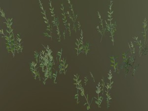 nordic forest plant c 3D 모델