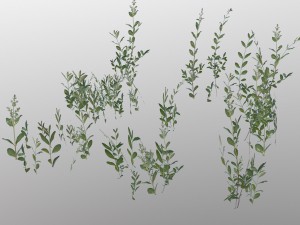 nordic forest plant c 3D 모델
