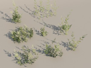 nordic forest plant c 3D 모델