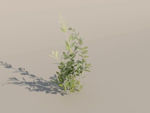 nordic forest plant c 3D 모델