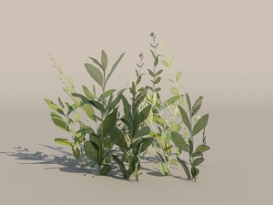 nordic forest plant c 3D 모델