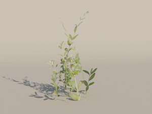 nordic forest plant c 3D 모델