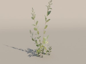 nordic forest plant c 3D 모델