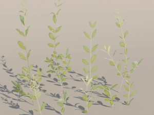 nordic forest plant c 3D 모델