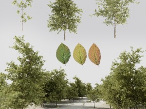 tree pack a 3D Model
