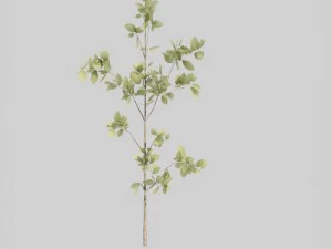 tree pack a 3D Model