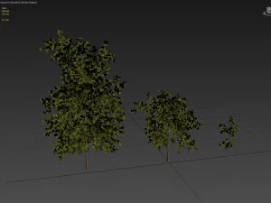 tree pack a 3D Model