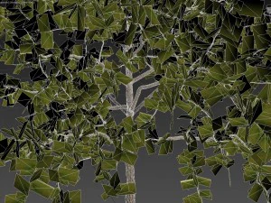 tree pack a 3D Model