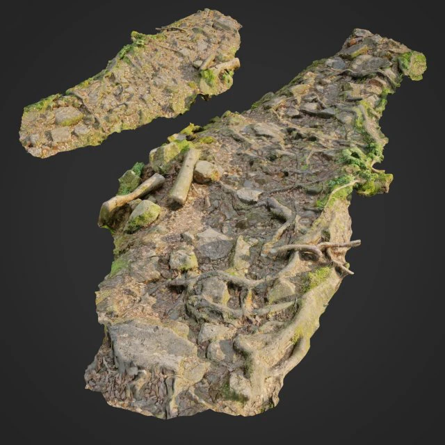 ground stones c 3D Model .c4d .max .obj .3ds .fbx .stl .blend 