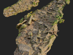 ground stones c 3D-Modell