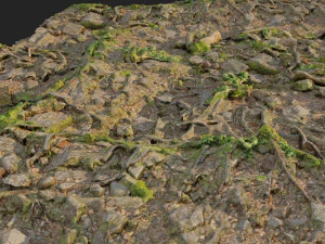 ground stones c 3D Model