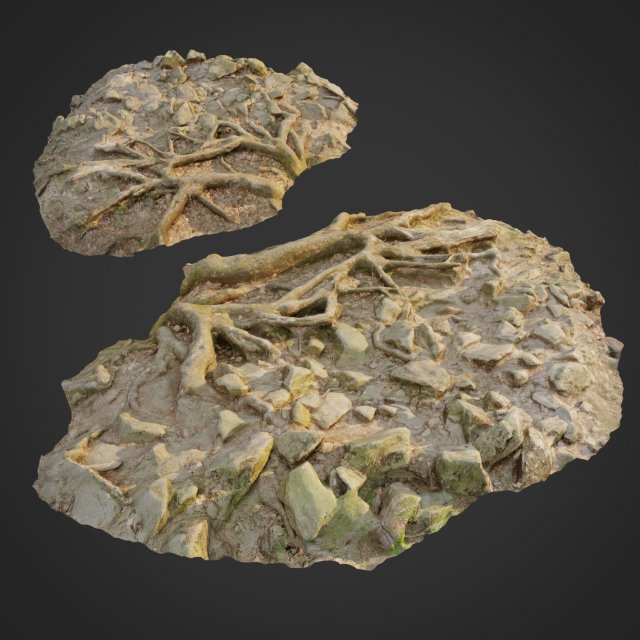 ground stones e 3D Модель .c4d .max .obj .3ds .fbx .stl .blend 