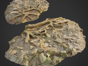 ground stones e 3D Model