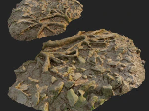 ground stones e 3D Model