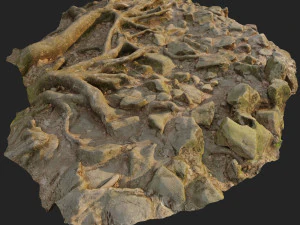 ground stones e 3D Model