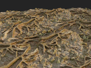 ground stones e 3D Model
