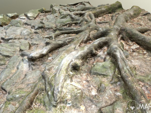 ground stones e 3D Модель