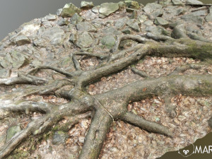 ground stones e 3D Модель