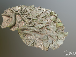 ground stones e 3D Модель