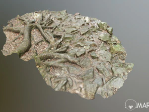 ground stones e 3D Model