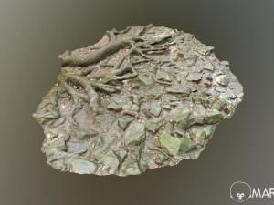 ground stones e 3D Модель