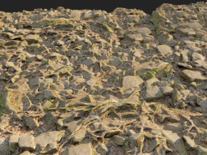 ground stones f Modèle 3D