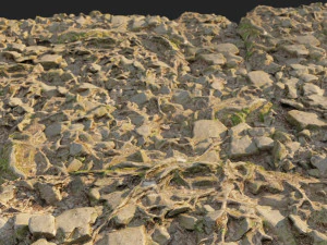 ground stones f 3D Model