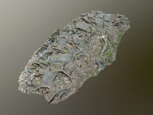 ground stones f 3D Model