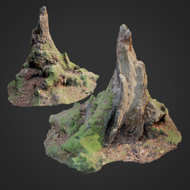 nature stump 10 3D Модель .c4d .max .obj .3ds .fbx .stl .blend 