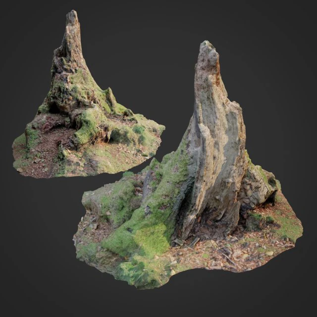 nature stump 10 3D Model .c4d .max .obj .3ds .fbx .stl .blend 