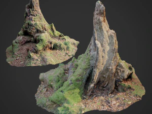 Naturstumpf 10 3D Modell