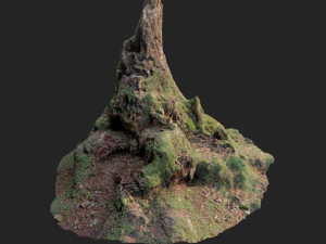 nature stump 10 3D Model