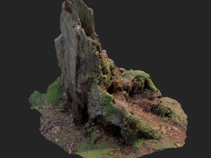nature stump 10 3D Model
