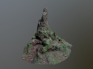 nature stump 10 3D Модель